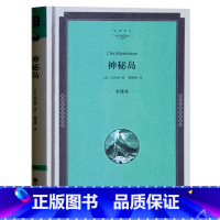 [正版]神秘岛 凡尔纳全译本精装 中文完整版青少年版 初中高中学生小学生课外读物9-10-12-15岁科幻书四五六年
