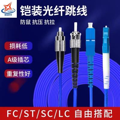 辉宏时代光纤线SC-SC单模单芯铠装光纤跳线防鼠咬抗拉力强防水光缆电信级30米