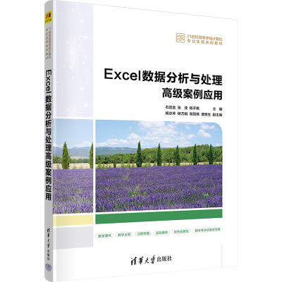 正版新书]Excel数据分析与处理高级案例应用石宜金,张滢,杨子艳