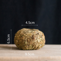 美帮汇干苔藓包球 花器花盆植物培育基质 装饰摆件花艺搭配 天然苔藓花器中号 大
