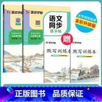 [语文同步]7年级上册+下册 七年级/初中一年级 [正版]七年级下册字帖语文同步练字帖人教版初中生练字生字笔顺七年级上册