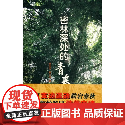 密林深处的青春