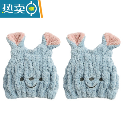 敬平儿童干发帽吸水速干包头浴帽宝宝婴儿擦头发器毛巾可爱女童 换洗2件套-B