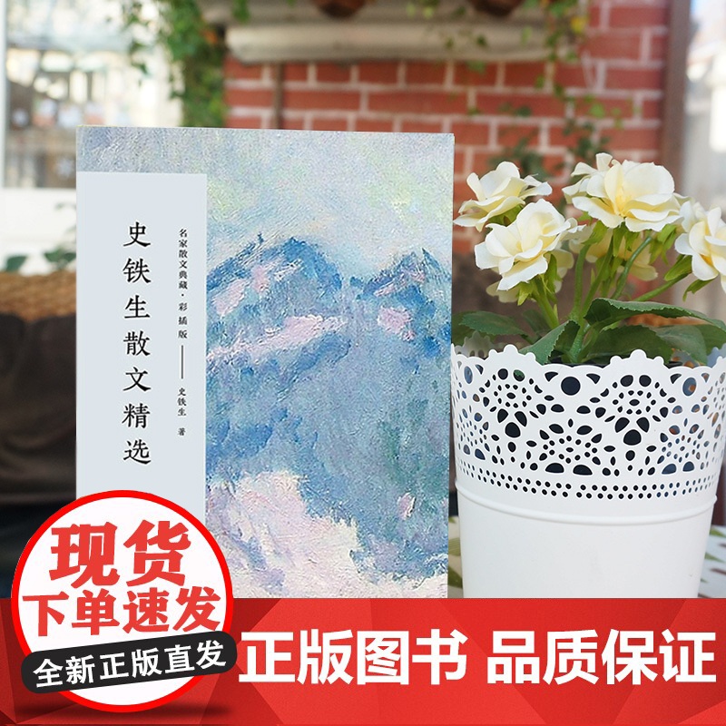 史铁生散文精选 名家散文典藏 作品选/中国现当代名家散文随笔/长江文艺出版社 含我与地坛 全集 想念地坛 正版散文集中国