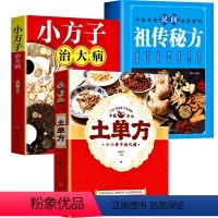 [正版]土单方书三册小方子治大病民间祖传秘方民间实用草药书医书大全药材食补张至顺道长中国土单方