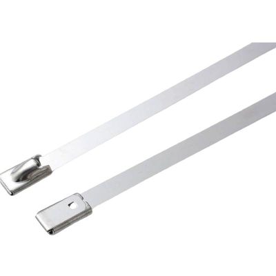 万梓 不锈钢扎带 10*500mm 根