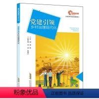 [正版]文 助力乡村振兴出版计划:党建乡村治理现代化 9787533786359 安徽科学技术出版社6