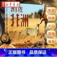 [正版]我们在非洲 非洲的青山 著 非洲动物观察笔记 深入非洲感受生命的丰盛与广博 和动物相伴15年的的一手观察手记
