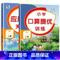 全2册-上册 口算提优+应用题天天练 [人教版] 小学二年级 [正版]小学生口算提优应用题卡天天练一二三四五六年级上册下
