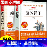 [配套人教版]海底两万里 [正版]骆驼祥子和钢铁是怎样炼成的原著完整版七年级必读名著老舍初一下册课外书初中课外阅读书籍7