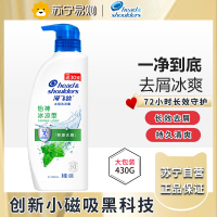 海飞丝洗发水怡神冰凉型薄荷430g 持久去屑清爽柔润 去油洗发水控油