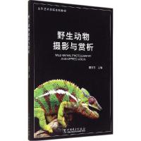 正版新书]野生动物摄影与赏析董河东9787512364127