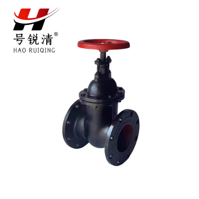号锐清 铸铁法兰闸阀 DN100 个