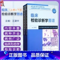 [正版]临床检验诊断学图谱 上下册2本组合套装 王建中主编人民卫生出版社 检验医学西医临床诊断学图谱临床形态学检验诊断