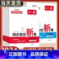 [2本]语文人教+数学人教 一年级下 [正版]2024版一本同步培优新卷小学语文数学一二三四五六年级上册RJ人教版 单元