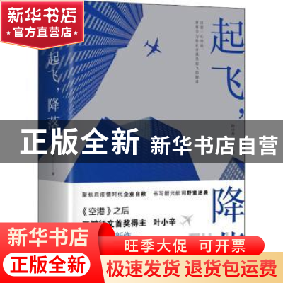 正版 起飞降落(上下) 叶小辛著 四川文艺出版社 9787541160165 书