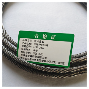 恒兴盛嘉 镀锌钢丝绳 米