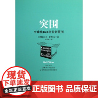 突围(全球化B2B企业新蓝图)