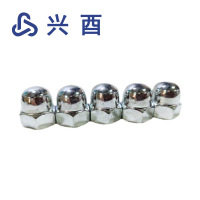 兴酉 不锈钢盖型螺母 M6 个