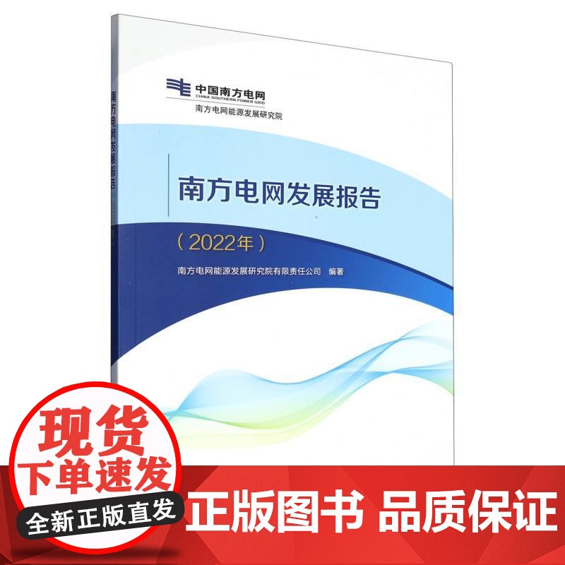 南方电网发展报告(2022年)