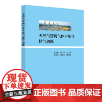 天然气管网气体平衡与储气调峰