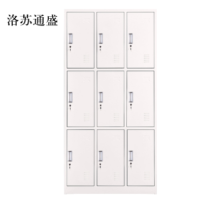 洛苏通盛加厚九门钢制更衣柜文件柜铁皮柜储物柜常规款