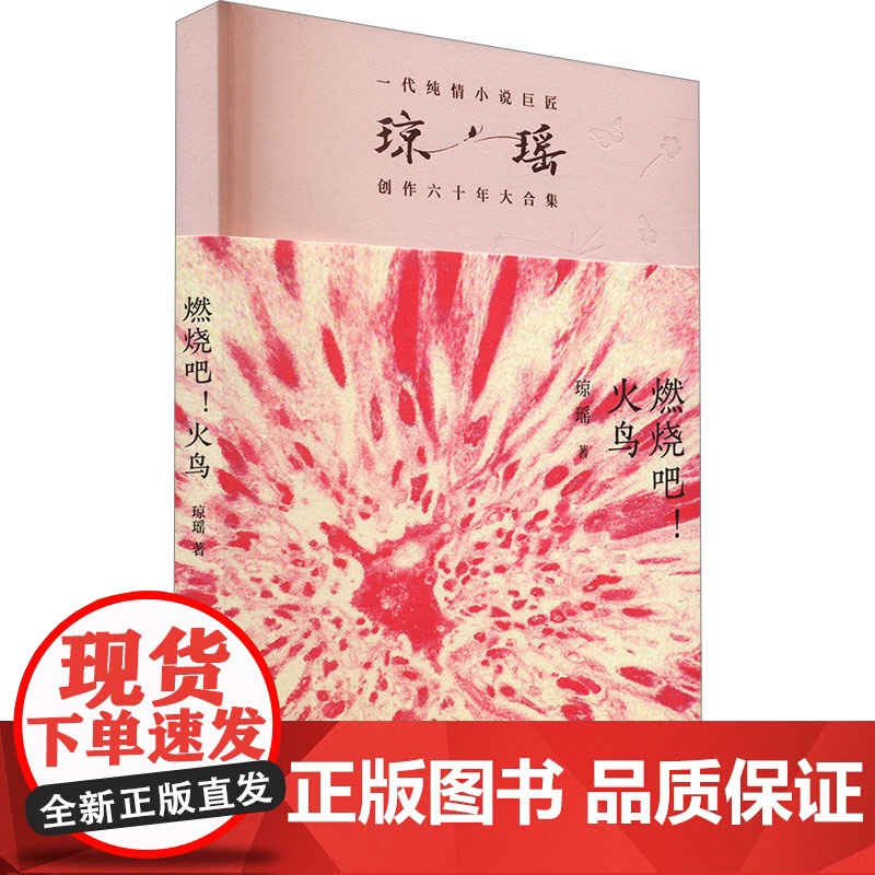 燃烧吧!火鸟 琼瑶著一代纯情小说巨匠琼瑶经典之作电视剧原著小说还珠格格梅花英雄梦作者 现代文学小说正版书
