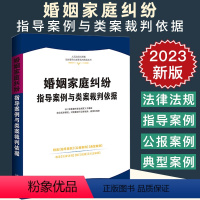 [正版]2023新 婚姻家庭纠纷指导案例与类案裁判依据 人民法院民商事指导案例与类案裁判依据 中国法制出版社97875