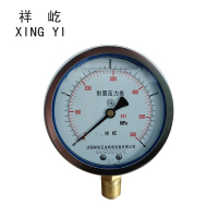 祥屹 耐震压力表 YTN100 0-4Mpa 块