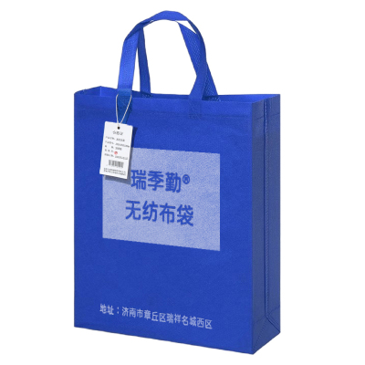 瑞季勤 无纺布袋 300*380*100mm 个