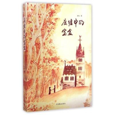 正版新书]废墟中的宝盒沐风9787540235741