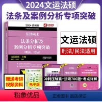 专项突破(刑法、民法) [正版]文运法硕2024法硕联考法条分析及案例分析专项突破刑法民法戴寰宇孙自律硕士高教版法硕