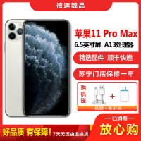 [二手9新]Apple苹果 iPhone 11 Pro Max 银色 256GB 二手手机 双卡拍照备用4G手机 国行