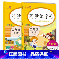 上下册2本:二年级语文 [正版]小学生练字帖每日一练一年级上册二年级下册三四五六年级语文同步练字帖人教版 控笔训练硬笔书