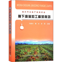 正版新书]膜下滴灌加工番茄栽培宋晓玲,黄东,李丽 编97871092943