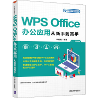 音像WPS Office办公应用从新手高李岩松