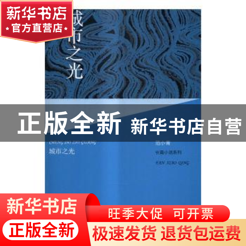 正版 城市之光 范小青 人民文学出版社 9787020109951 书籍