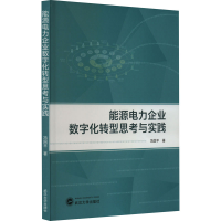 音像能源电力企业数字化转型思考与实践冯国平