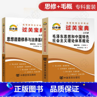 [正版]自考通过关宝典 03706书籍 3706思想道德修养与法律基础+12656毛论毛概小册子 2025年成人成教成