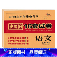 语文 [正版]2023年小学毕业升学必做的16套试卷语文数学英语小升初通用版68所6六年级总复习精选精练精解冲刺重点中学