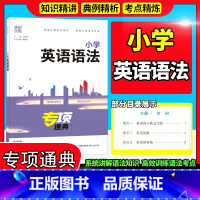 [正版]2023新 通城学典专项冠军小学英语语法通用版英语语法工具书小升初语法解读系统全面小学三四五六3456年级通用