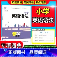 [正版]2023新 通城学典专项冠军小学英语语法通用版英语语法工具书小升初语法解读系统全面小学三四五六3456年级通用