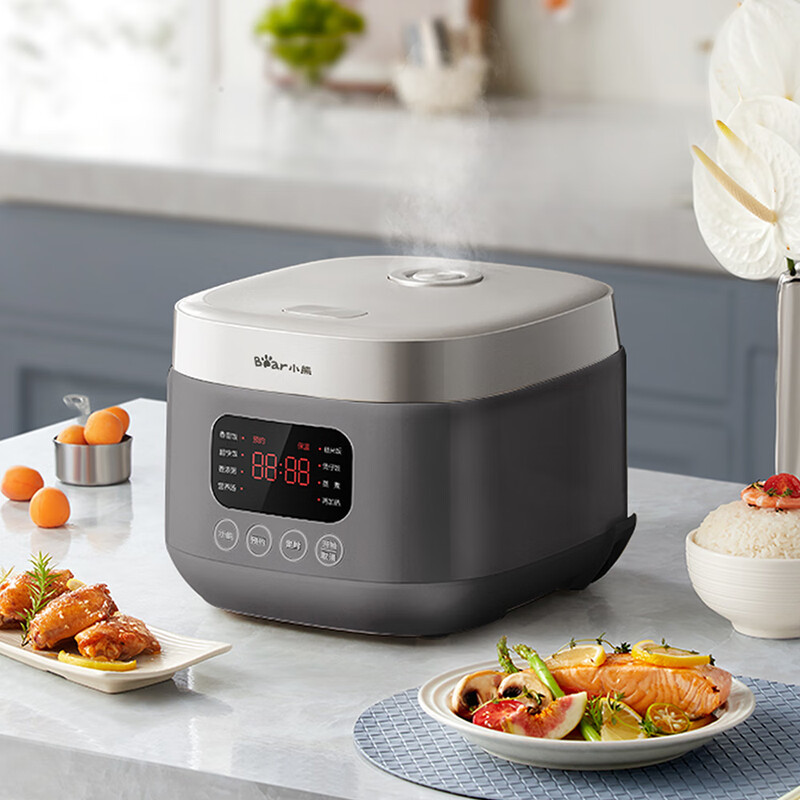 小熊(Bear)铁铁煲 电饭煲 小型2-3人电饭锅 环翼珐琅铁釜变压远红外IH加热微压柴火饭3升 DFB-E30F2