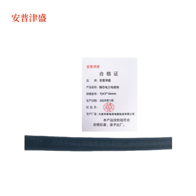 安普津盛 铜芯电力电缆线YJV2*16mm 0.6/1kv 米