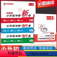 小升初》语文阅读+语数英冲刺新卷 小学通用 [正版]2024版小升初冲刺新卷语文数学英语真题卷+专题卷+模拟卷期中期末单