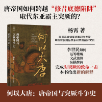 正版新书]何以中国·何以大唐:唐帝国与突厥斗争史杨霄978721311
