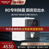 汉斯顿净水器家用直饮0阻垢剂ro反渗透纯水机厨房净水机S1(S90)