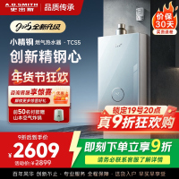 史密斯佳尼特[小精钢TCS5]13升精钢燃气热水器 国家补贴 JSQ26-TCS5 安全守护 持久恒温大水量 新品