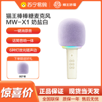 猫王灵感棒棒糖麦克风唱歌儿童话筒音响一体无线蓝牙K歌家庭用KTV 奶盐白