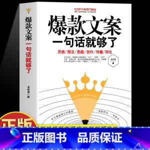 [正版] 好文案一句话就够了 赠文案经典案例集 文案策划从入门到精通 广告运营文案 如何写出好文案图书 网络推